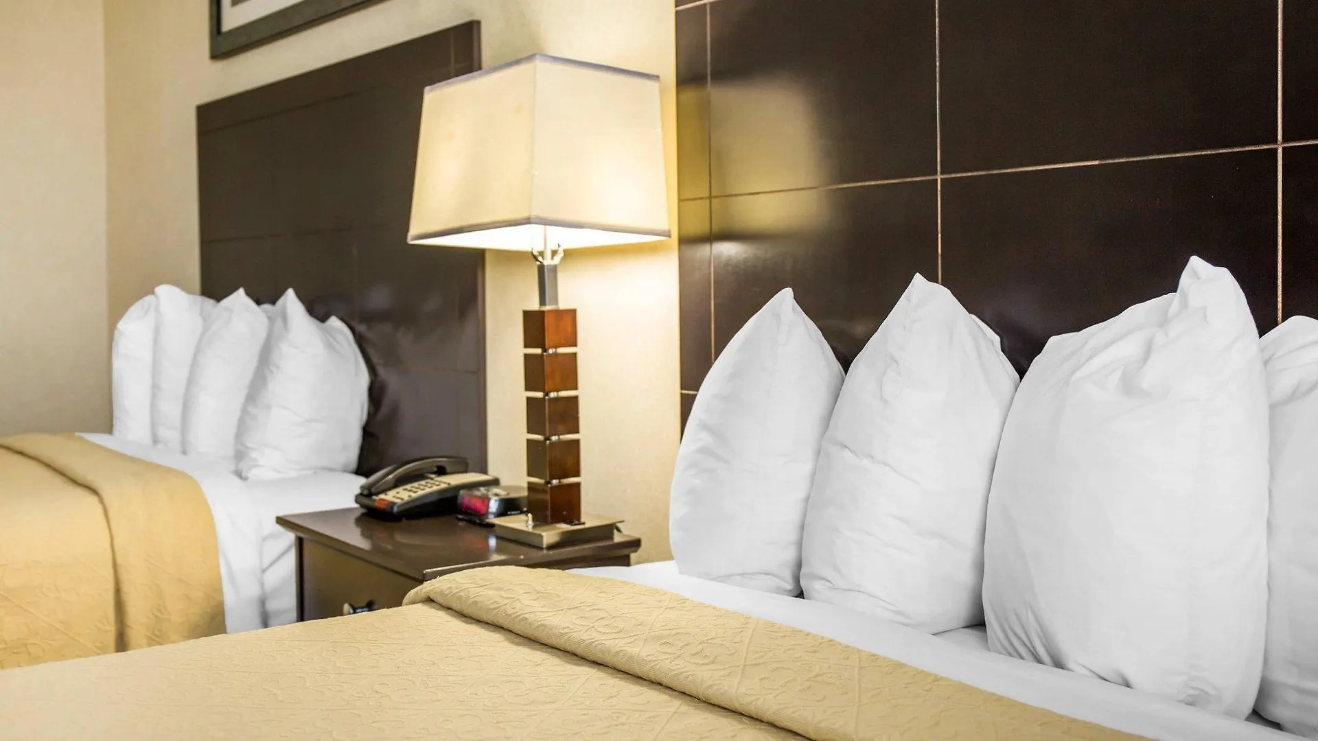 Quality Inn Woodside Queens New York Hotel